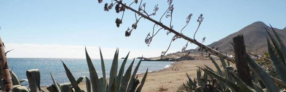 Hostal Casa Emilio Αλμερία Εξωτερικό φωτογραφία